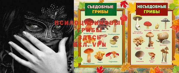 ECSTASY Абдулино