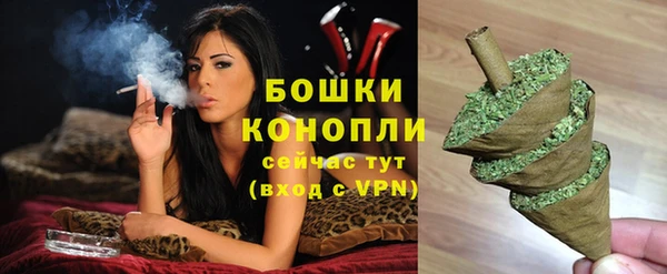 гидра Протвино